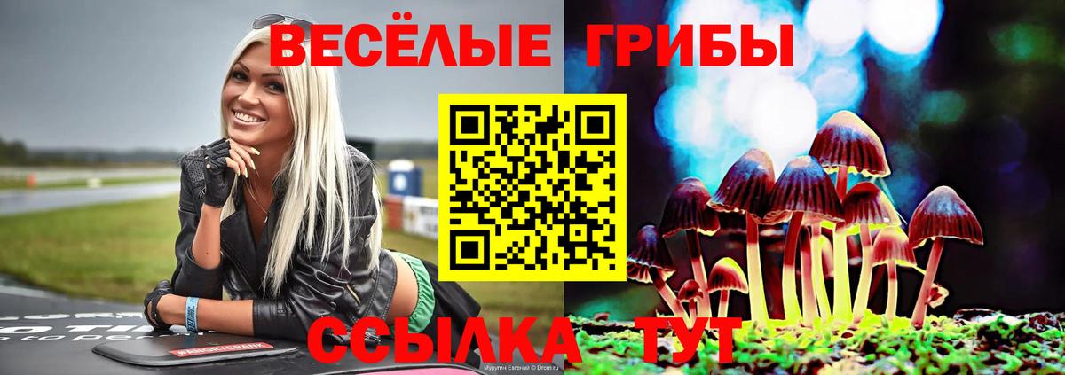 Галлюциногенные грибы Magic Shrooms  наркотики  Трёхгорный  Псилоцибиновые грибы мухоморы  Вход с VPN 