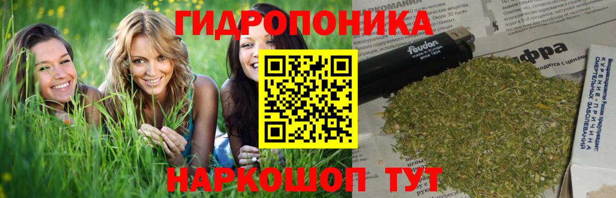Трёхгорный  Марихуана Bruce Banner  Марихуана THC 21%  Бошки Шишки планчик  Вход с VPN  Марихуана гибрид 